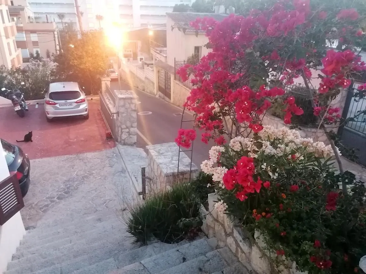 Villa Oleander Palmanova Spanien