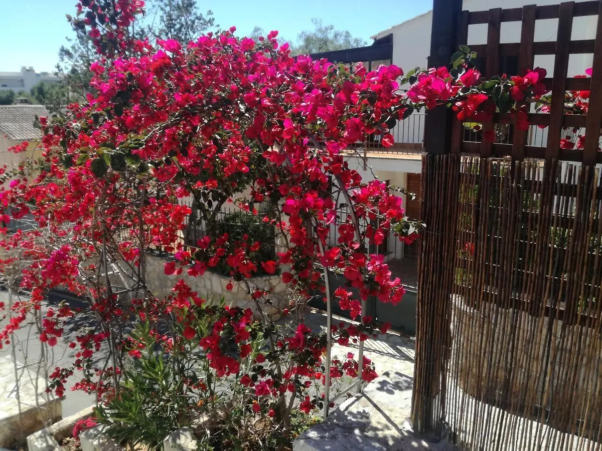 Lägenhet Villa Oleander Palmanova Spanien